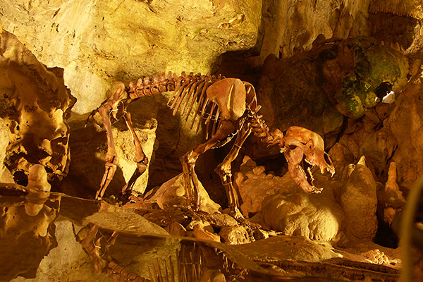 Bärenhöhle Sonnenbühl